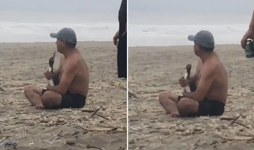 La singular escena del hombre y el ave se viralizó rápidamente en todas las redes sociales. Foto: captura de TikTok La singular escena del hombre y el ave se viralizó rápidamente en todas las redes sociales. Foto: captura de TikTok