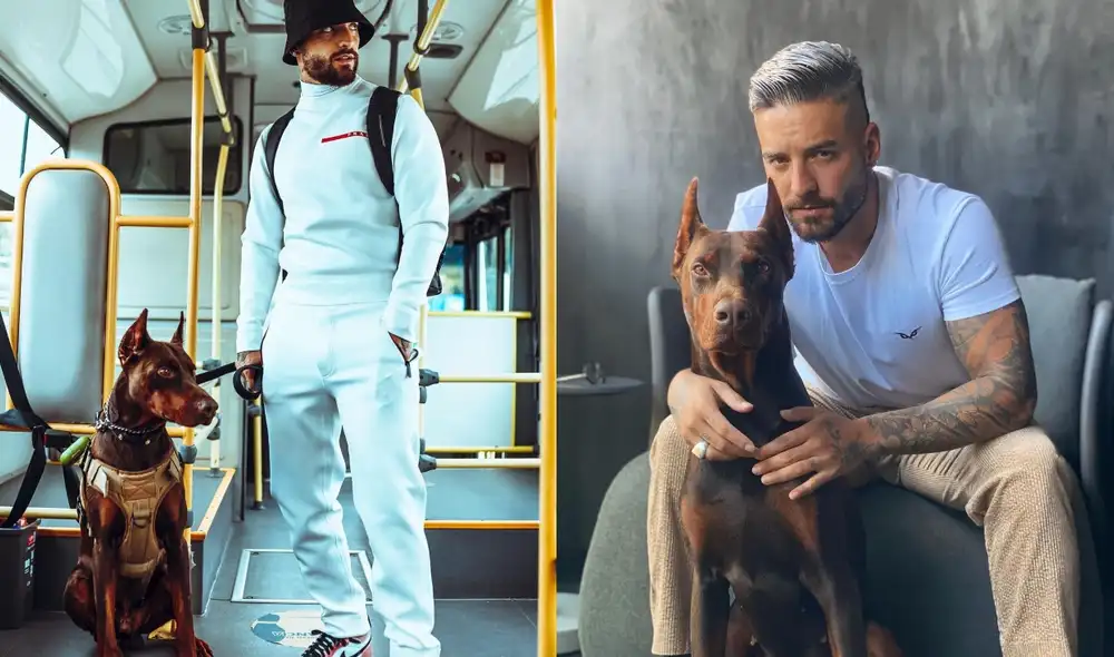Maluma contó cómo fue mordido por su perro. Foto: Instagram
