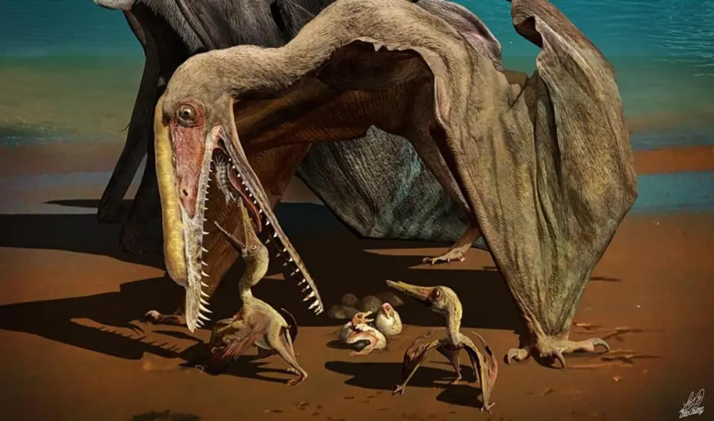 El pterosaurio, conocido popularmente como pterodáctilo, dominaba los cielos hace unos 167 millones de años. Foto: Zhao Chuang