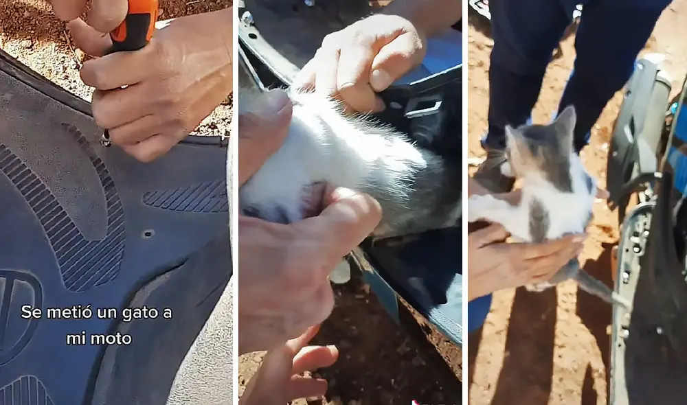 El clip viral fue publicado por la usuaria de TikTok @lil.aidee. Foto: captura de TikTok