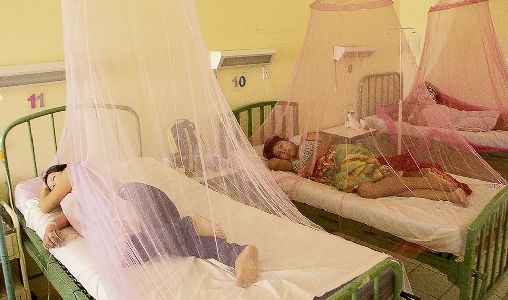 Brotes. En algunas regiones, como Piura y Loreto, hay un aumento de casos de dengue. Cuidado. Foto: La República Brotes. En algunas regiones, como Piura y Loreto, hay un aumento de casos de dengue. Cuidado. Foto: La República