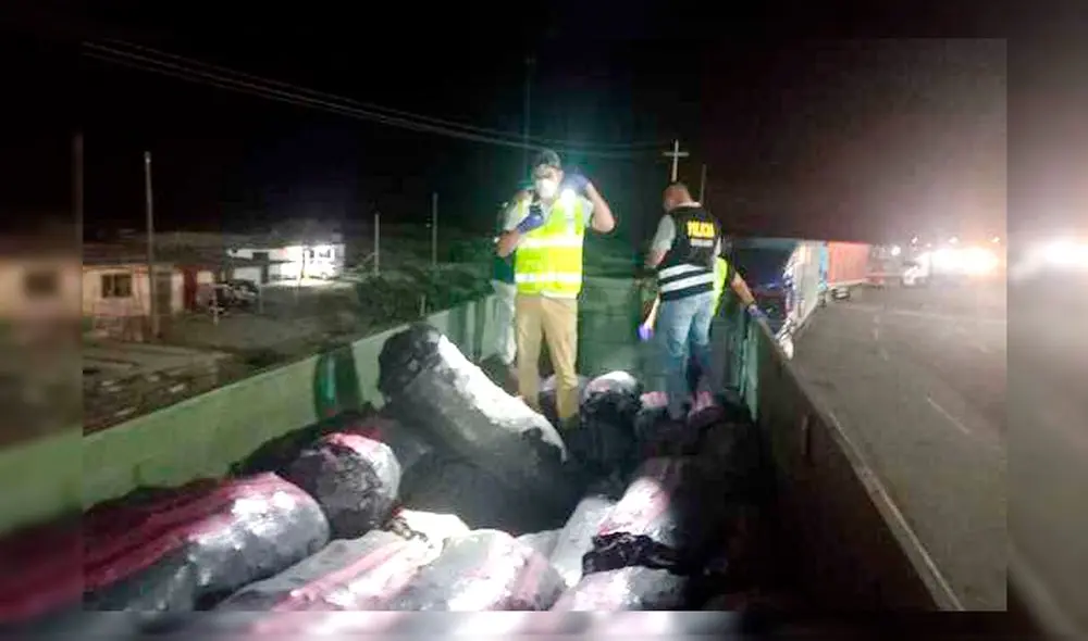 Vehículo intervenido por la PNP no contaba con guía de transporte forestal. Foto: SERFOR