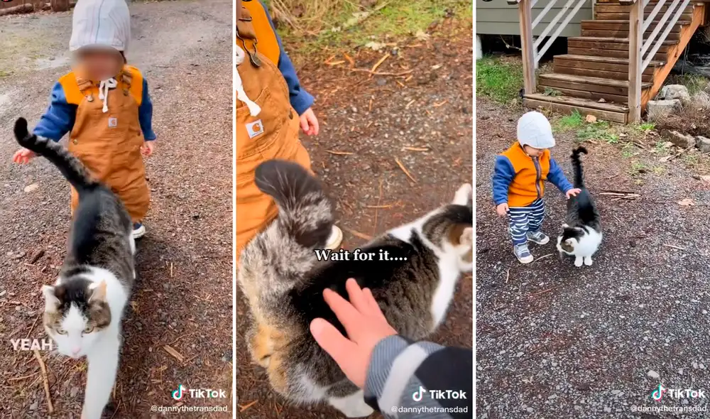 El niño entendió que se debe querer a los animales y el minino ‘agradeció’ el cariño brindado. Foto: captura de TikTok