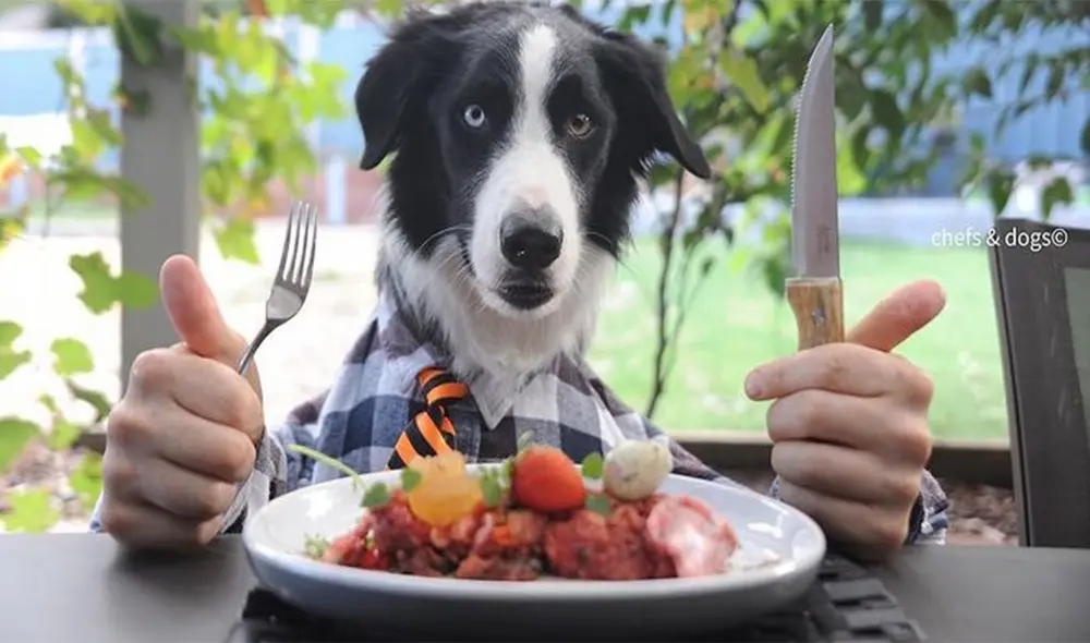 Aparte de la dieta BRAF, existen alimentos embolsados que siguen la línea de alimentación natural sin preservantes. Foto: Chefs&dogs