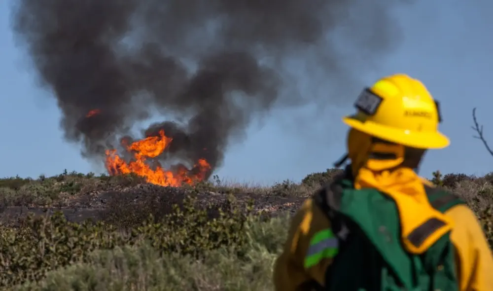 El calentamiento global, las sequías y el cambio de uso de suelo son causantes de los incendios forestales. Foto: AFP El calentamiento global, las sequías y el cambio de uso de suelo son causantes de los incendios forestales. Foto: AFP