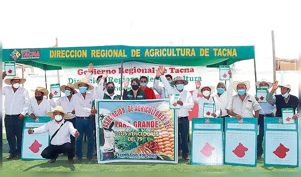 Condición. Agricultores podrán beneficiarse con subvención, si cumplen con los requisitos. Foto: La República Condición. Agricultores podrán beneficiarse con subvención, si cumplen con los requisitos. Foto: La República