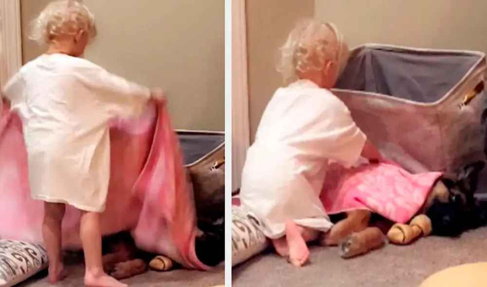 Una mujer adoptó a un perro para que fuera ‘amigo’ de su hija; sin embargo, no imaginó que ambos se iban a volver inseparables. Foto: captura de Facebook