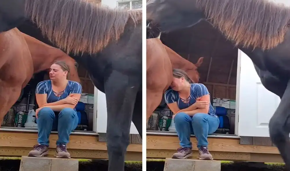 Una joven ingresó al recinto de sus mascotas y comenzó a llorar a escondidas; sin embargo, no imaginó que uno de estos la iba a ‘apoyar’ en ese momento. Foto: captura de YouTube Una joven ingresó al recinto de sus mascotas y comenzó a llorar a escondidas; sin embargo, no imaginó que uno de estos la iba a ‘apoyar’ en ese momento. Foto: captura de YouTube