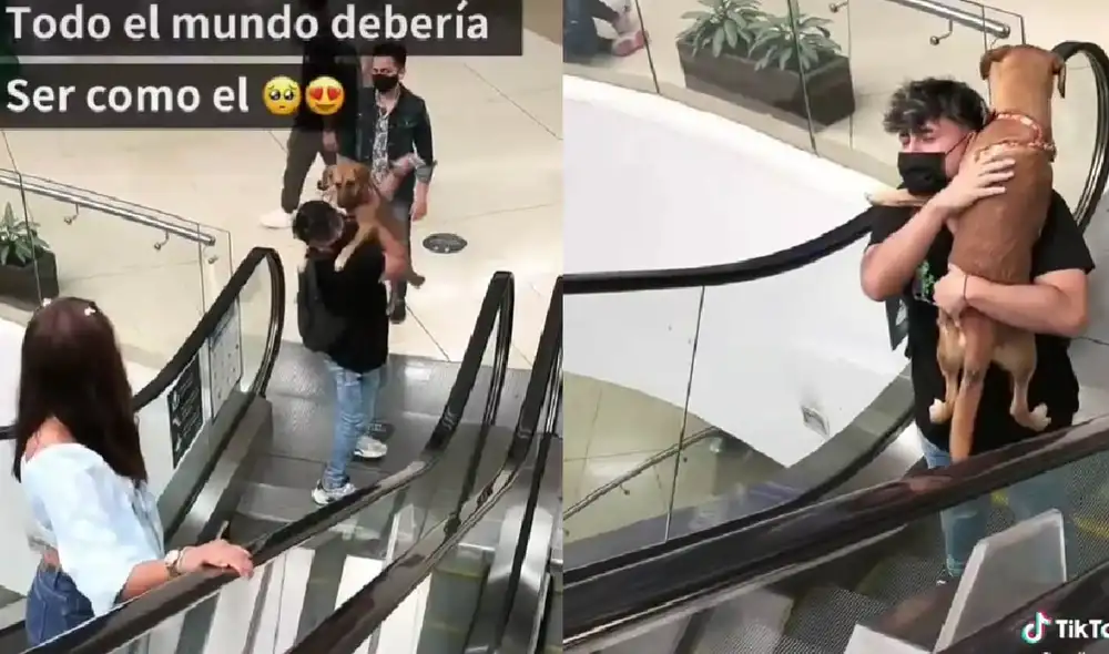 Los usuarios se conmovieron con la amistad y el amor que demostraba hacia su perrito. Foto: captura de TikTok