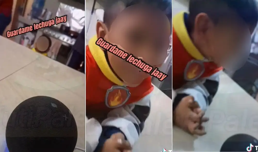 La divertida escena fue compartida en todas las redes sociales por los usuarios, quienes también reaccionaron en los comentarios. Foto: captura de TikTok