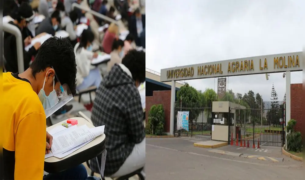 La Universidad Agraria cuenta con 12 carreras profesionales. Foto: Composición La República. La Universidad Agraria cuenta con 12 carreras profesionales. Foto: Composición La República.