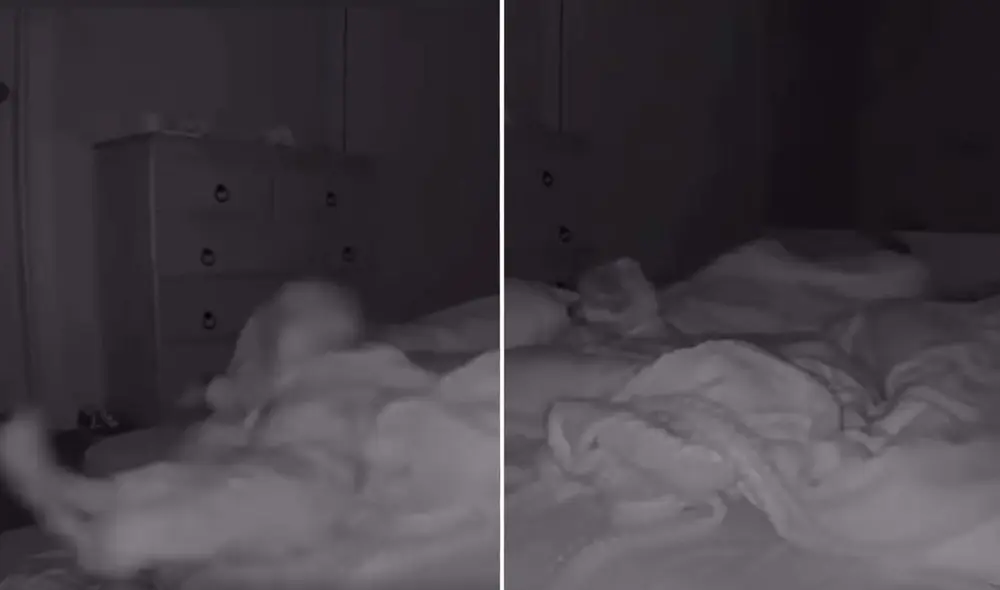 La escena se viralizó de inmediato en todas las redes y fue compartida por miles de usuarios. Foto: captura de TikTok