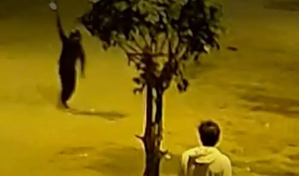 Delincuentes realizaron disparos al aire para amenazar a sus víctimas. Foto: captura América Noticias Delincuentes realizaron disparos al aire para amenazar a sus víctimas. Foto: captura América Noticias