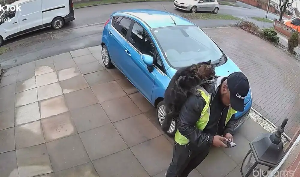 El gatito aprovechó el descuido de su dueña para subir sobre el hombro del repartidor. Foto: captura de TikTok El gatito aprovechó el descuido de su dueña para subir sobre el hombro del repartidor. Foto: captura de TikTok