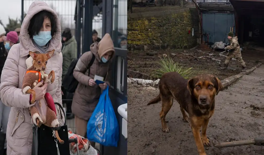 Luego de que el último 24 de febrero el presidente de Rusia Vladimir Putin ordenara bombardear la exrepública soviética, cientos de familias ucranianas han buscado la manera de escapar de la zona y buscar refugio. Foto: captura de Facebook Luego de que el último 24 de febrero el presidente de Rusia Vladimir Putin ordenara bombardear la exrepública soviética, cientos de familias ucranianas han buscado la manera de escapar de la zona y buscar refugio. Foto: captura de Facebook