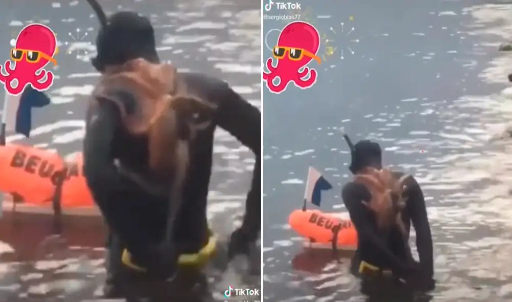 Por más intentos que hizo el buzo, el pulpo se negaba a abandonarlo. Foto: captura de TikTok