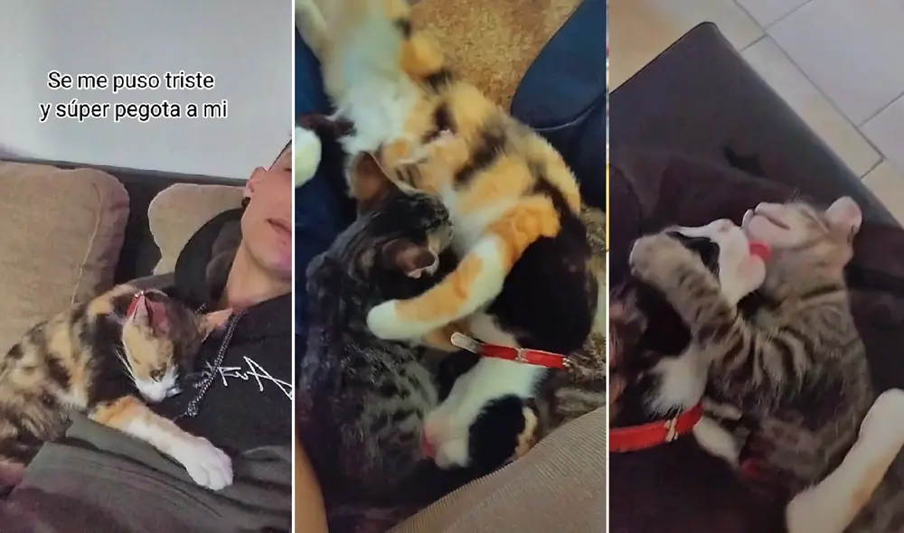 El clip sumó alrededor de 11 millones de reproducciones. Foto: captura de TikTok