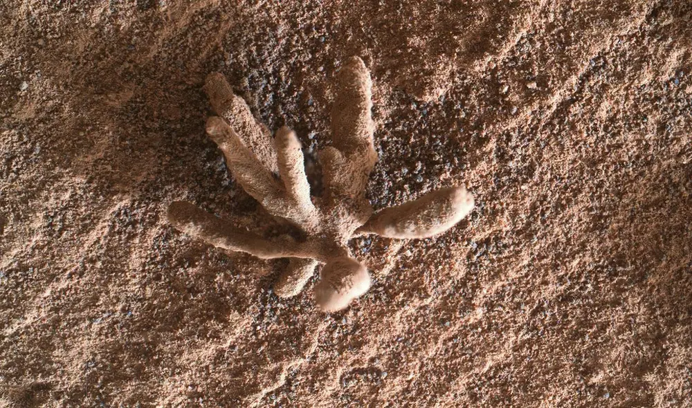 La denominada "flor marciana" fue captada en Marte este 25 de febrero por el Curiosity. Foto: NASA