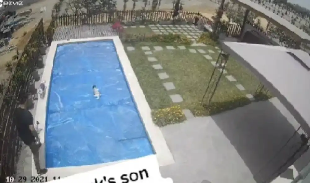 Los perritos aprovecharon cada oportunidad para 'lanzarse' a la piscina. Foto: captura de TikTok
