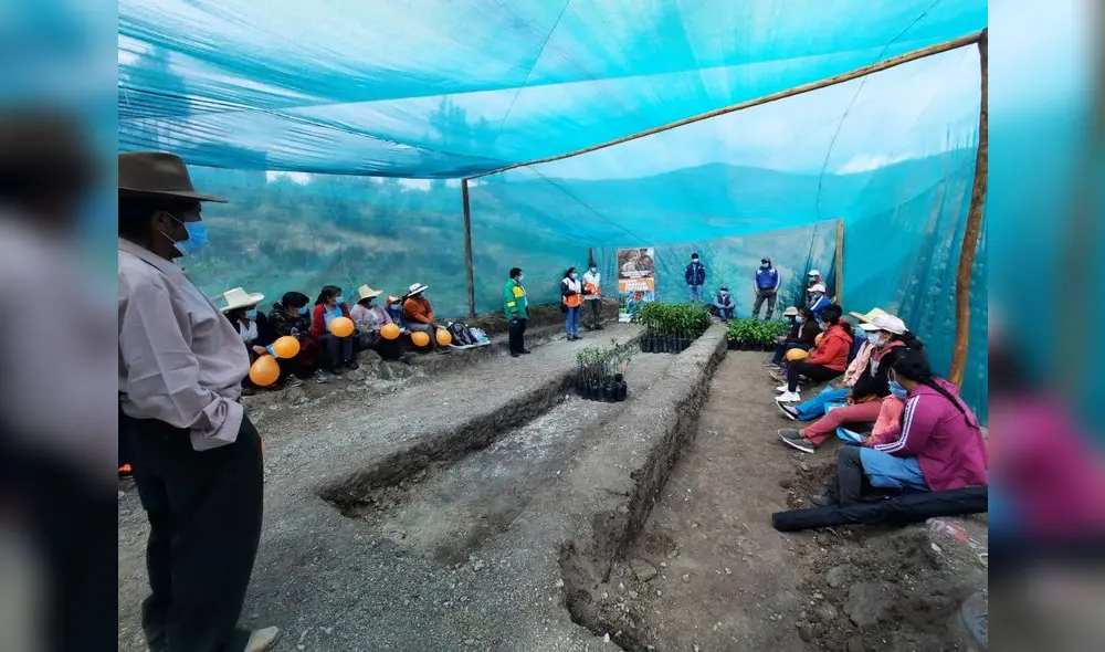 Los agricultores han sido capacitados para manejar el vivero. Foto: GRALL