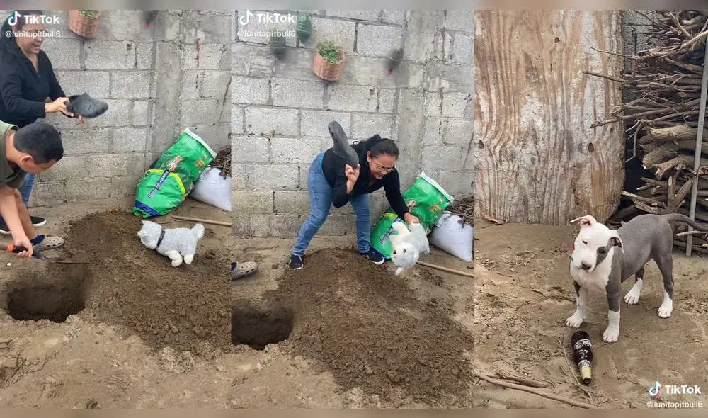 La madre golpeó con sus sandalias crocs al perro de peluche. Foto: captura de TikTok
