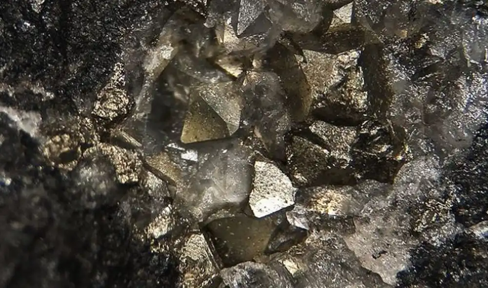 TIN no espera más problemas relacionados con COVID-19 y prevé que la producción continúe aumentando en 2022, con un pronóstico de crecimiento de alrededor del 4%. Foto: difusión TIN no espera más problemas relacionados con COVID-19 y prevé que la producción continúe aumentando en 2022, con un pronóstico de crecimiento de alrededor del 4%. Foto: difusión