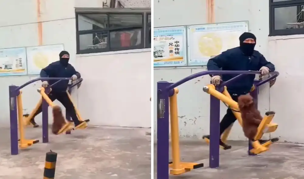 Un transeúnte fue testigo de una curiosa escena protagonizada por un hombre y su mascota en su visita a un parque. Foto: captura de Facebook