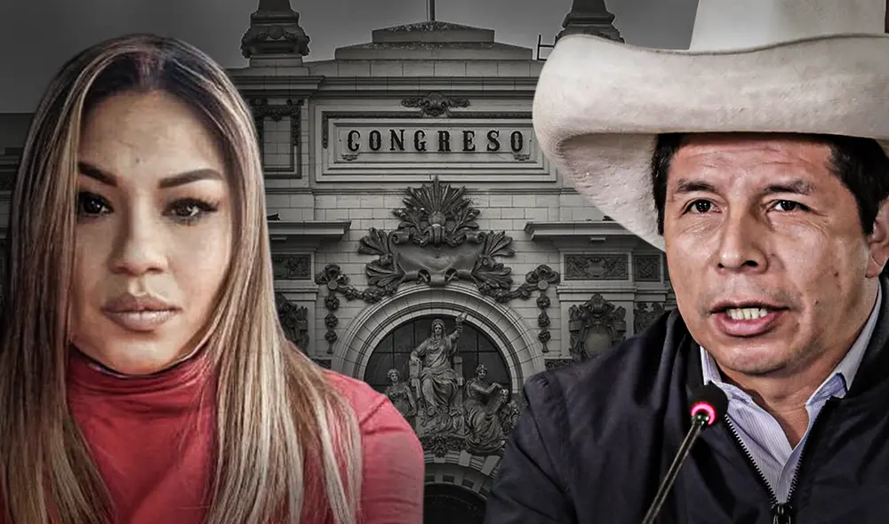 Karelin López habría señalado al presidente Castillo como el cabecilla de una organización criminal que operaría desde Palacio de Gobierno. Foto: composición de Jazmín Ceras / GLR