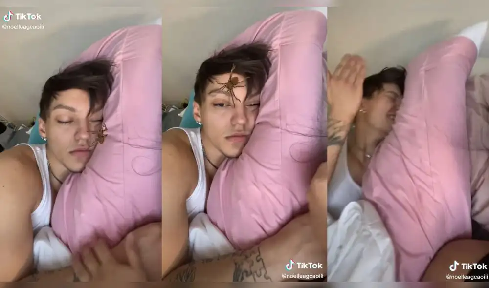 La araña virtual se paseó por la cara del joven. Foto: captura de TikTok