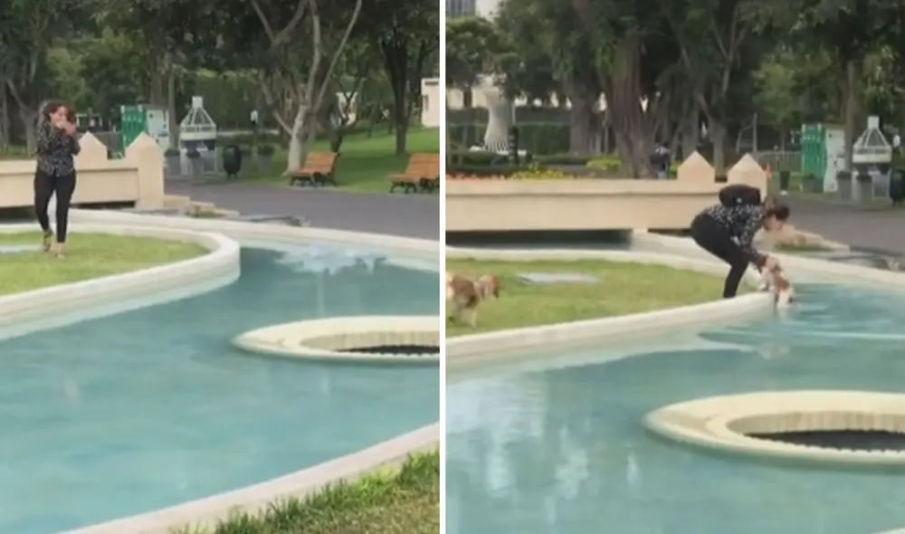 Miles de usuarios no han parado de reír con esta graciosa escena. Foto: captura de TikTok