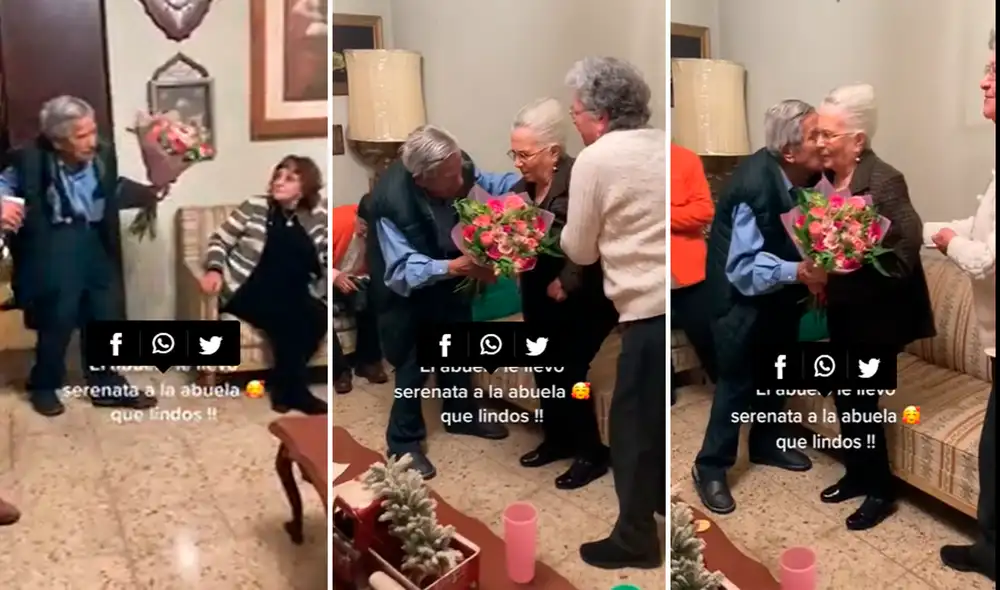 Usuarios en redes sociales se conmovieron por las tiernas escenas. Foto: captura de TikTok