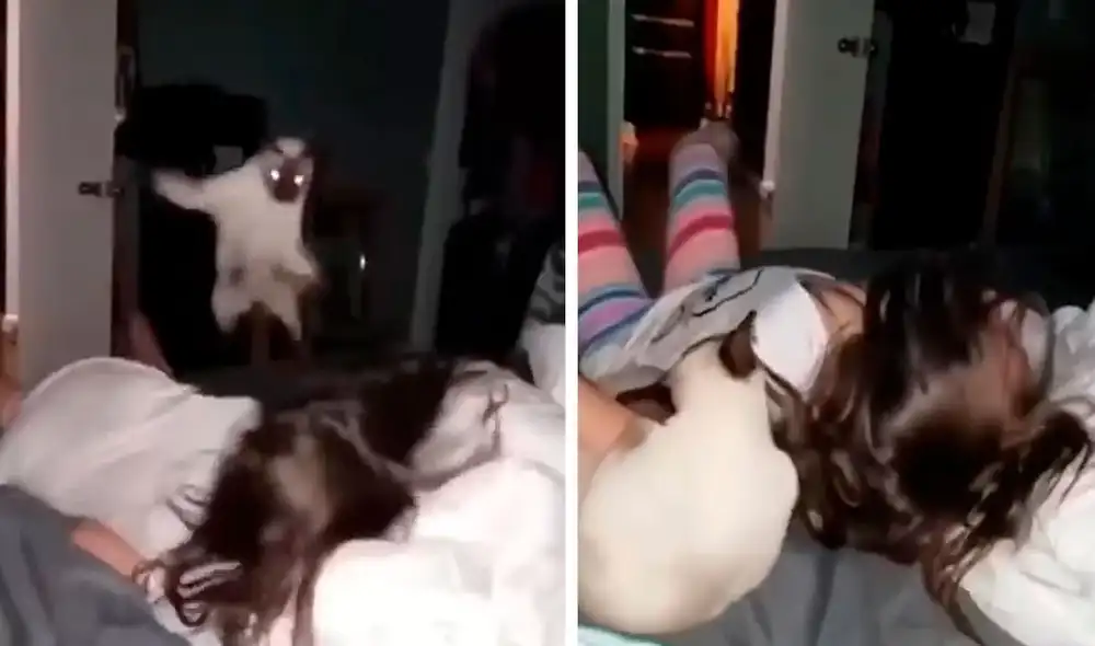 Una madre se enteró del divertido momento que protagonizaban su hija y su querida mascota, por lo que decidió grabarlos con su celular. Foto: captura de Facebook Una madre se enteró del divertido momento que protagonizaban su hija y su querida mascota, por lo que decidió grabarlos con su celular. Foto: captura de Facebook