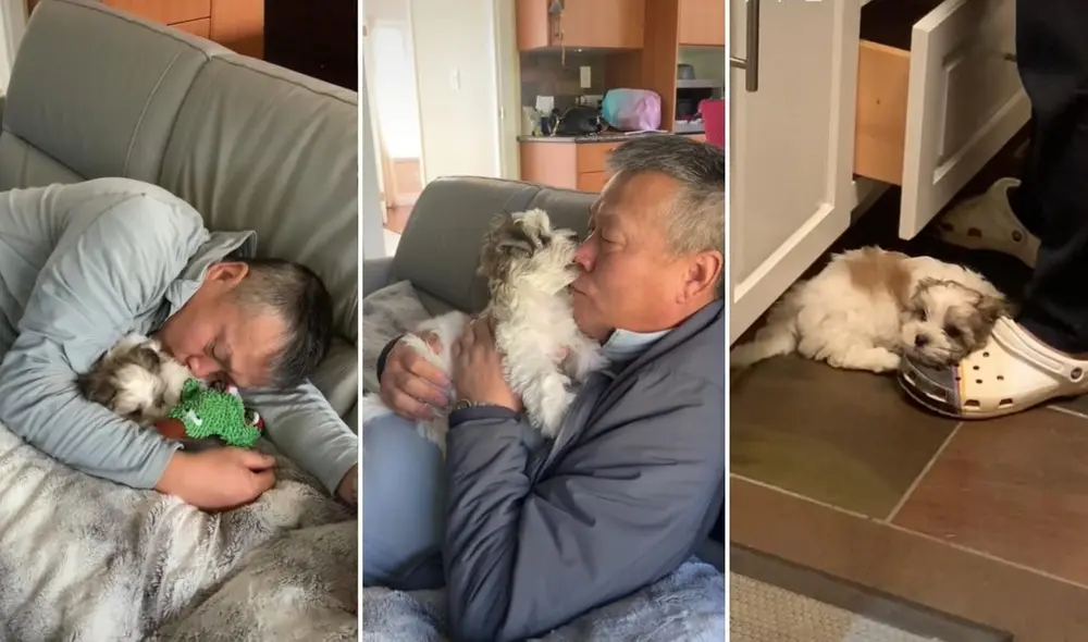 La conmovedora escena protagonizada por un perrito y su dueño, fue compartida en diferentes redes sociales por los usuarios. Foto: captura de TikTok