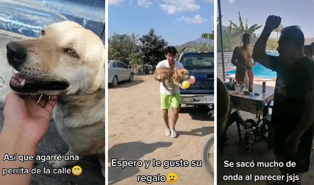 El clip sumó alrededor de medio millón de 'me gusta' en la red social. Foto: captura de TikTok