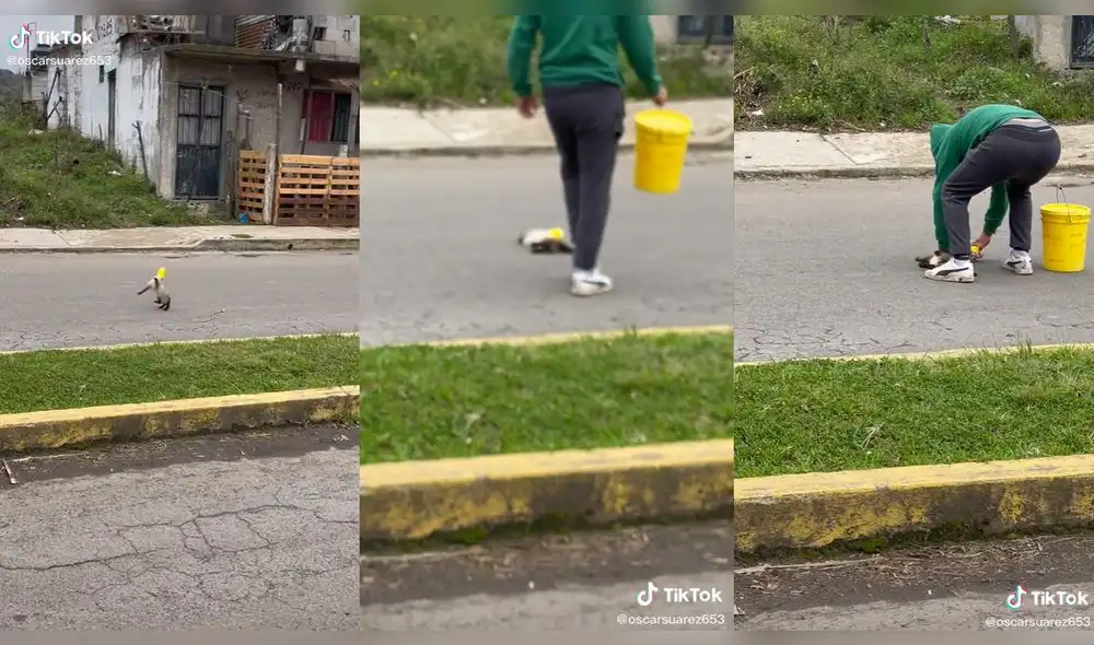 Un hombre salvó al pequeño cuando pensaban que ya había fallecido. Foto: captura de TikTok