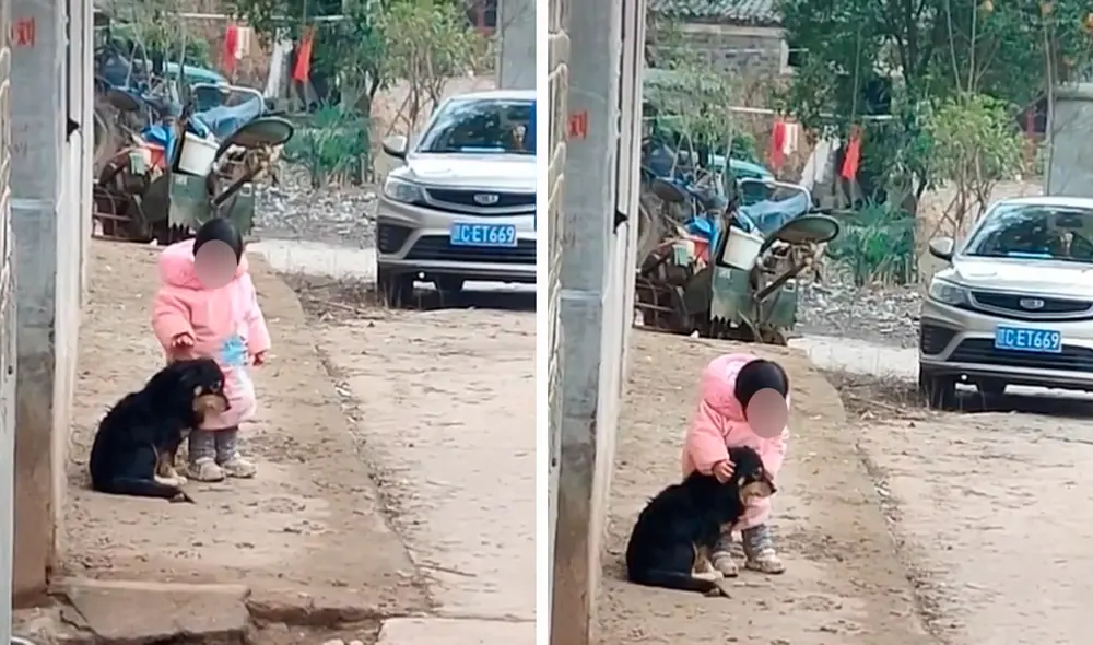 El amor de la pequeña por su gran compañero se hizo viral en redes sociales logrando 9.8 millones de visualizaciones. Foto: captura de Facebook