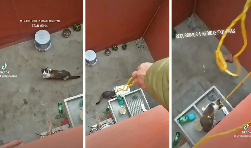 El clip consiguió más de 810.000 reproducciones en la red social. Foto: captura de TikTok