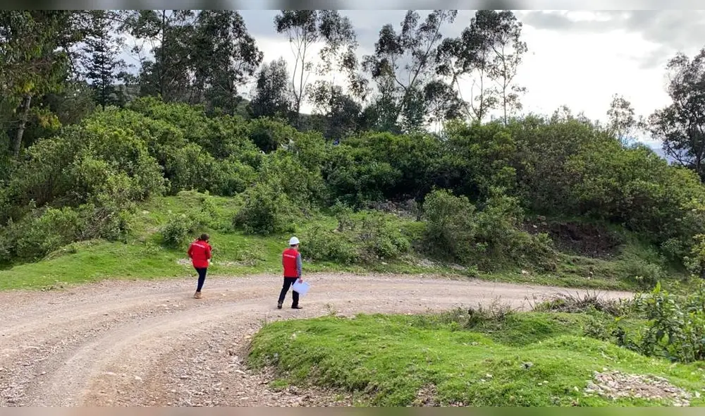 Empresas no acreditaron la totalidad de los requisitos establecidos en las bases de licitaciones. Foto: Contraloría