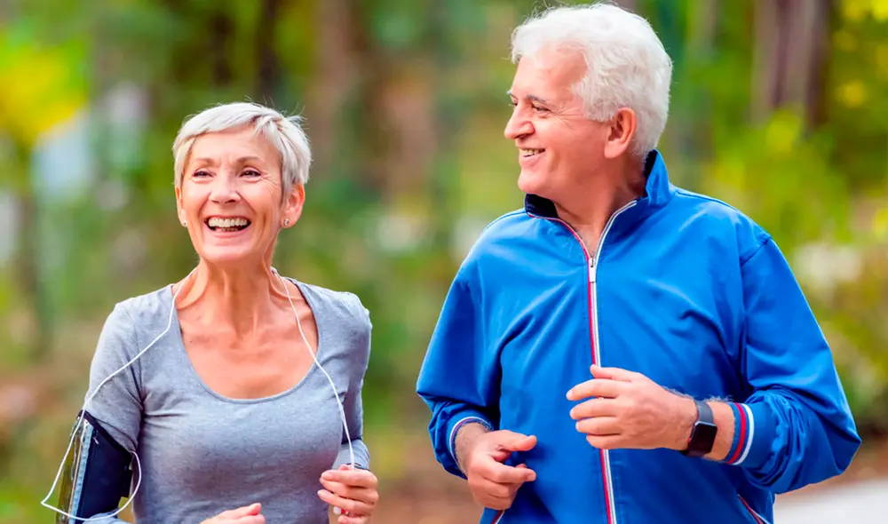Las rutinas de ejercicios ayudan a mejorar la elasticidad de los músculos en los adultos mayores. Foto: vitonica