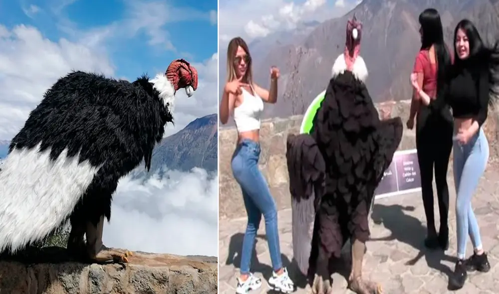 Cesar Zuka emprendió con singular personaje durante la pandemia. Foto: Cesar Zuka Gutiérrez/ Facebook