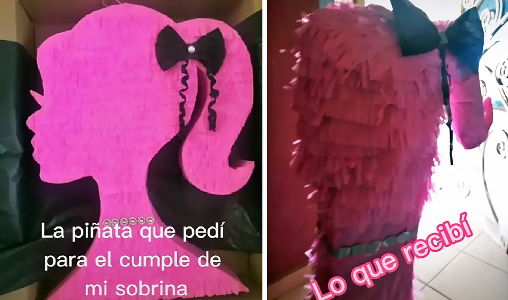 El clip viral cuenta con más de un millón de visualizaciones en la red social. Foto: captura de TikTok