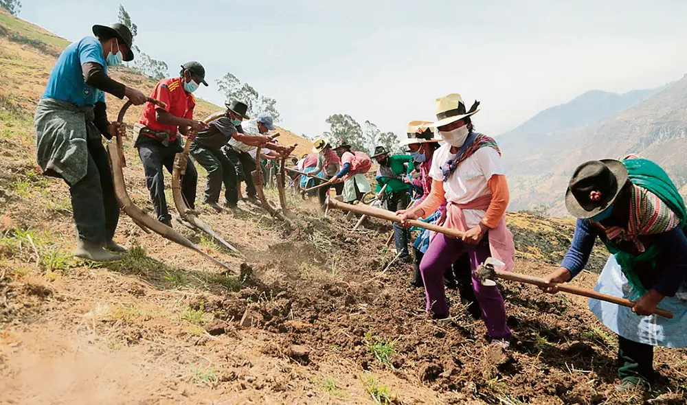 Producto al alza. En el último año, el precio de los principales fertilizantes se elevó hasta en 128%. Foto: difusión
