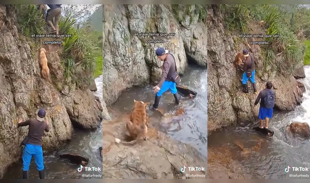 El joven no dejó que su segunda mascota cayera. Foto: captura de TikTok