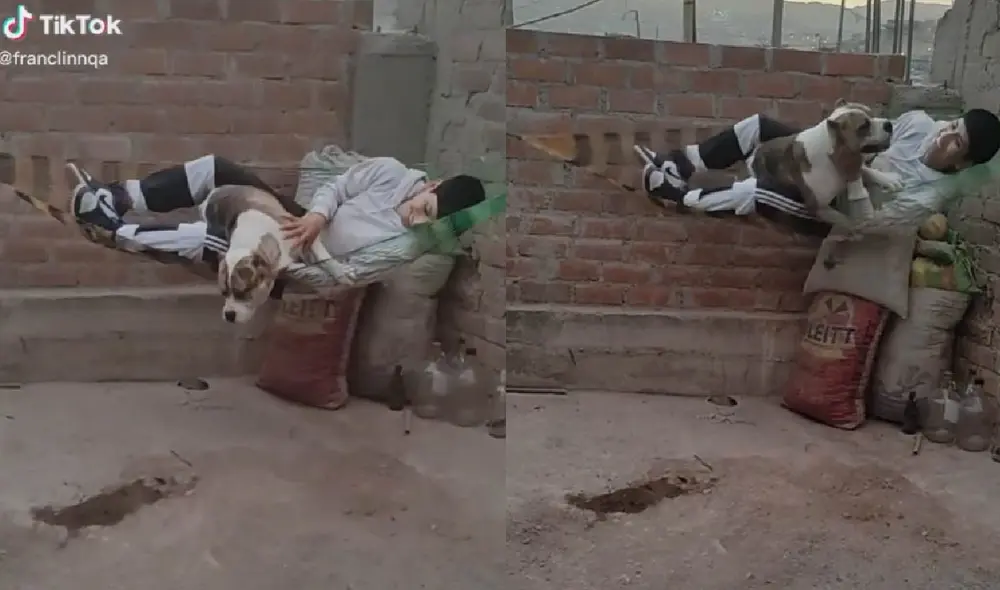 El joven y su perrito bulldog se mostraban alegres mientras se columpiaban. Foto: captura de TikTok