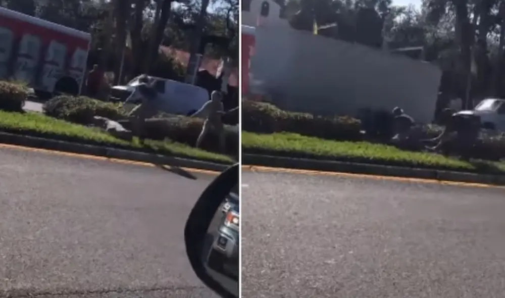 Afortunadamente, los empleados lograron atrapar al enorme reptil. Foto: captura de Facebook.