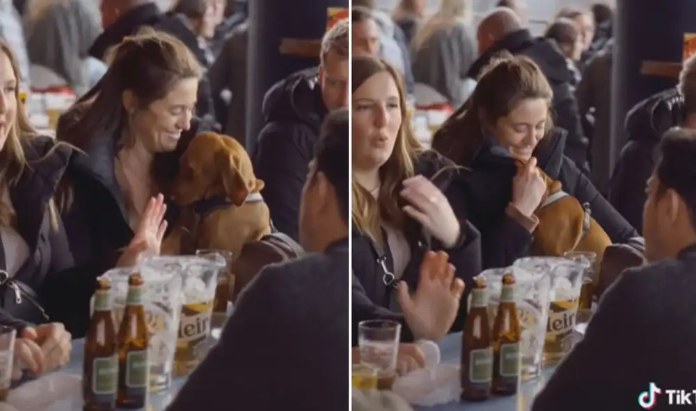El animal se mostró cansado y decidió acurrucarse sobre su dueña para dormir. Foto: captura de TikTok
