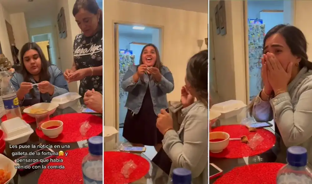 Los usuarios reaccionar al emotivo clip que fue compartido en diferentes redes sociales. Foto: captura de TikTok