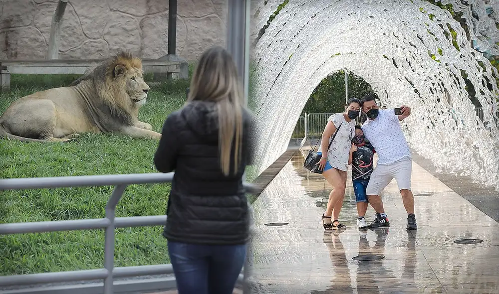 Entre los lugares que podrás ingresar sin pagar están el Parque de las Leyendas y el Circuito Mágico del Agua. Foto: composición LR/Circuito del Agua/La República Entre los lugares que podrás ingresar sin pagar están el Parque de las Leyendas y el Circuito Mágico del Agua. Foto: composición LR/Circuito del Agua/La República