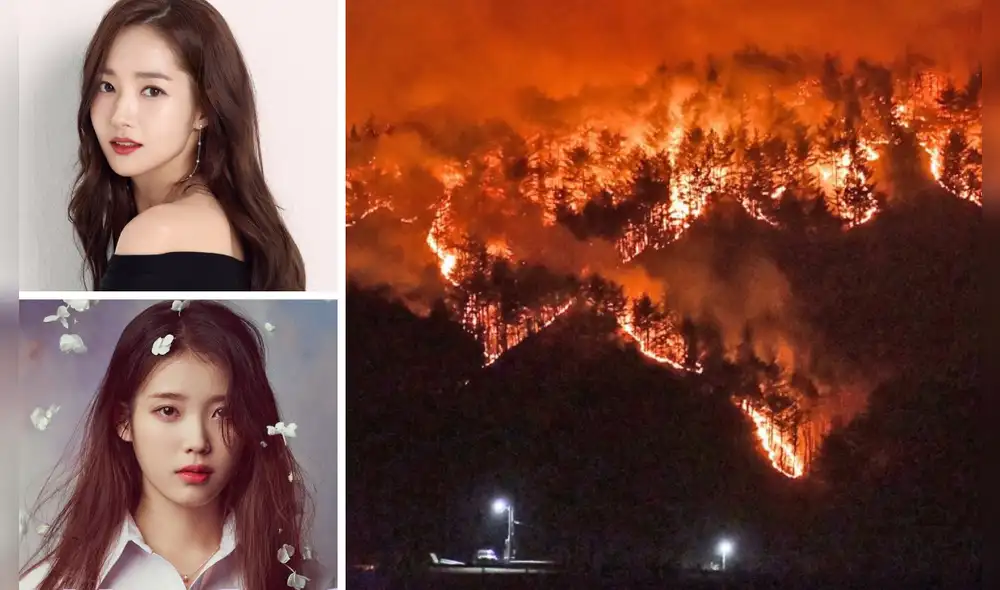 IU, Park Min Young y más demuestran su apoyo a víctimas de incendio forestal. Foto composición: EDAM Entertainment, Ecured y Yonhap News