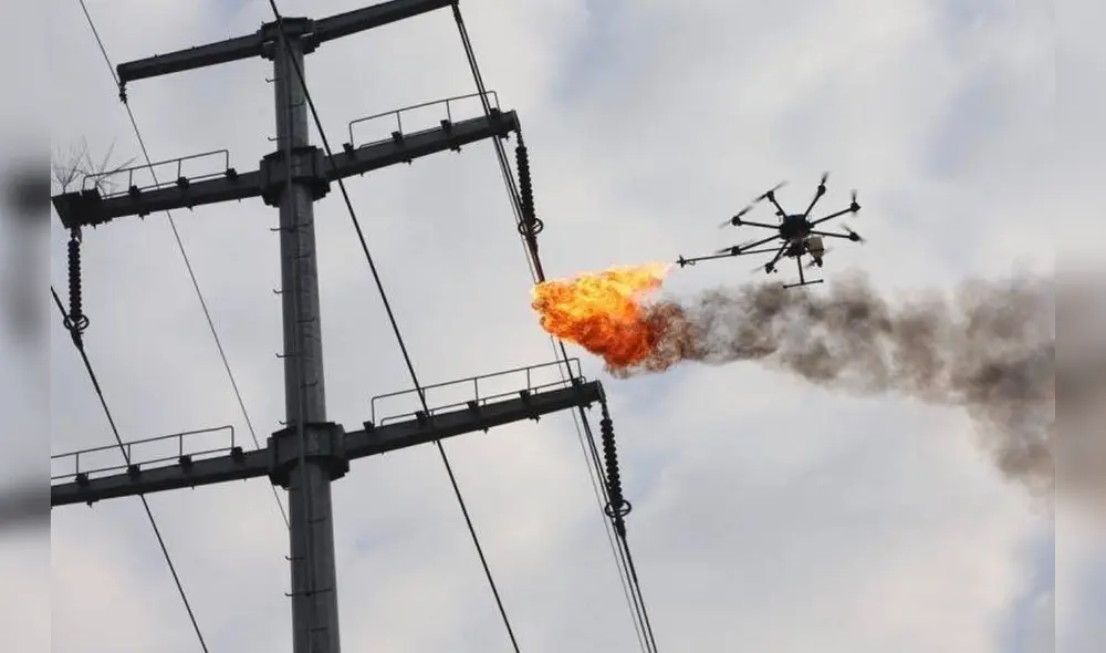La mujer pertenece a un grupo enérgico que se opone a Rusia, según medios locales. Foto: referencial/inverse